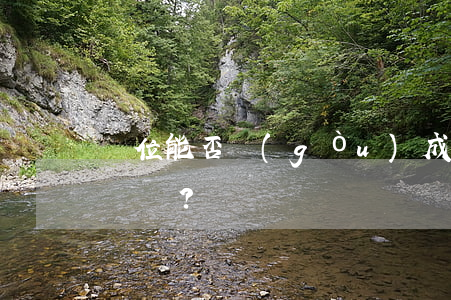單位能否構(gòu)成故意毀壞財物罪嗎？